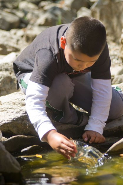 Collecting water